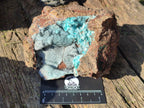 Natural Large Drusy Coated Chrysocolla Specimen on Dolomite x 1 From Lupoto Mine, Congo - Toprock Gemstones and Minerals 