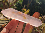 Polished Double Terminated Gemmy Rose Quartz Crystals x 3 From Madagascar - Toprock Gemstones and Minerals 