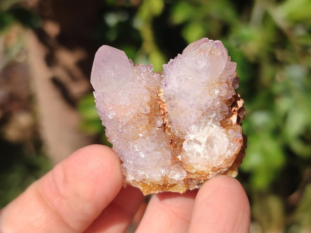 Natural Lilac Spirit Amethyst Crystals x 20 From Boekenhouthoek, South Africa - Toprock Gemstones and Minerals 