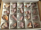Natural Lilac Spirit Amethyst Crystals x 20 From Boekenhouthoek, South Africa - Toprock Gemstones and Minerals 