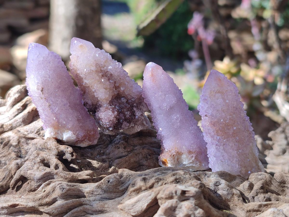 Natural Lilac Spirit Amethyst Crystals x 20 From Boekenhouthoek, South Africa - Toprock Gemstones and Minerals 