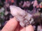 Natural Lilac Spirit Amethyst Crystals x 20 From Boekenhouthoek, South Africa - Toprock Gemstones and Minerals 