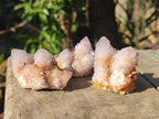 Natural Lilac Spirit Amethyst Crystals x 20 From Boekenhouthoek, South Africa - Toprock Gemstones and Minerals 