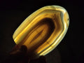Polished and Natural Shashe River Agate Standing Display Pieces x 3 From Shashe River, Zimbabwe - Toprock Gemstones and Minerals 