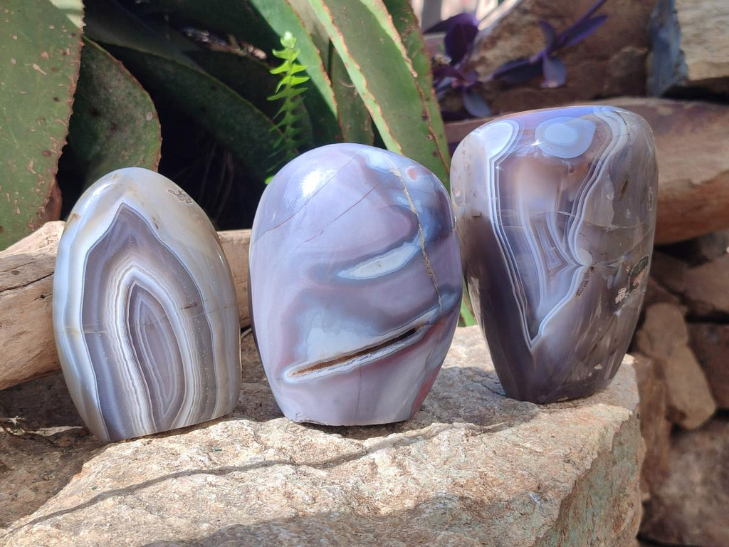Polished and Natural Shashe River Agate Standing Display Pieces x 3 From Shashe River, Zimbabwe - Toprock Gemstones and Minerals 