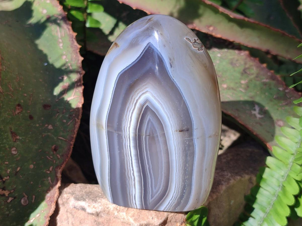 Polished and Natural Shashe River Agate Standing Display Pieces x 3 From Shashe River, Zimbabwe - Toprock Gemstones and Minerals 