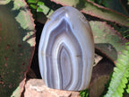 Polished and Natural Shashe River Agate Standing Display Pieces x 3 From Shashe River, Zimbabwe - Toprock Gemstones and Minerals 