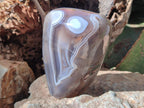 Polished and Natural Shashe River Agate Standing Display Pieces x 3 From Shashe River, Zimbabwe - Toprock Gemstones and Minerals 