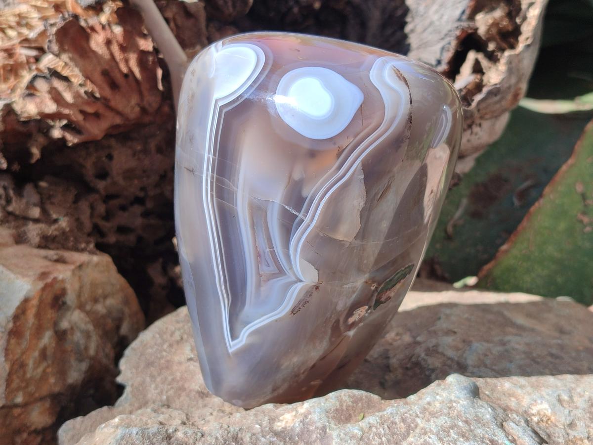 Polished and Natural Shashe River Agate Standing Display Pieces x 3 From Shashe River, Zimbabwe - Toprock Gemstones and Minerals 