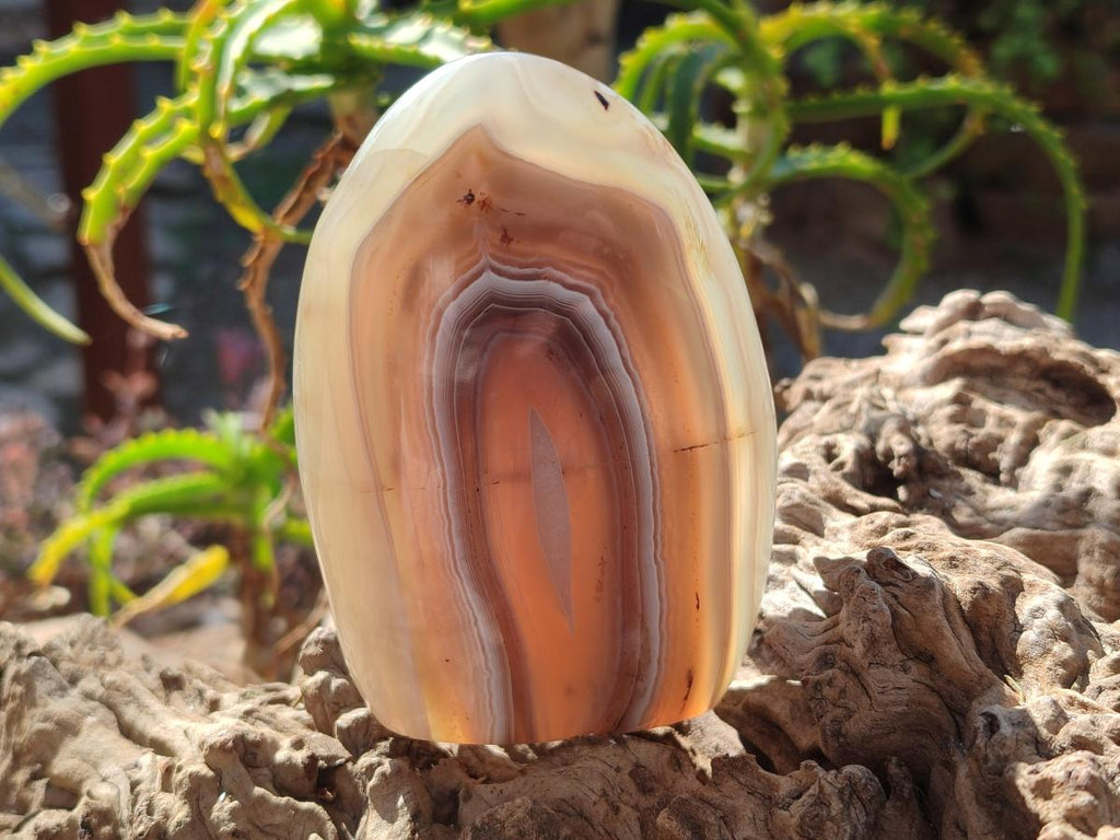 Polished and Natural Shashe River Agate Standing Display Pieces x 3 From Shashe River, Zimbabwe - Toprock Gemstones and Minerals 