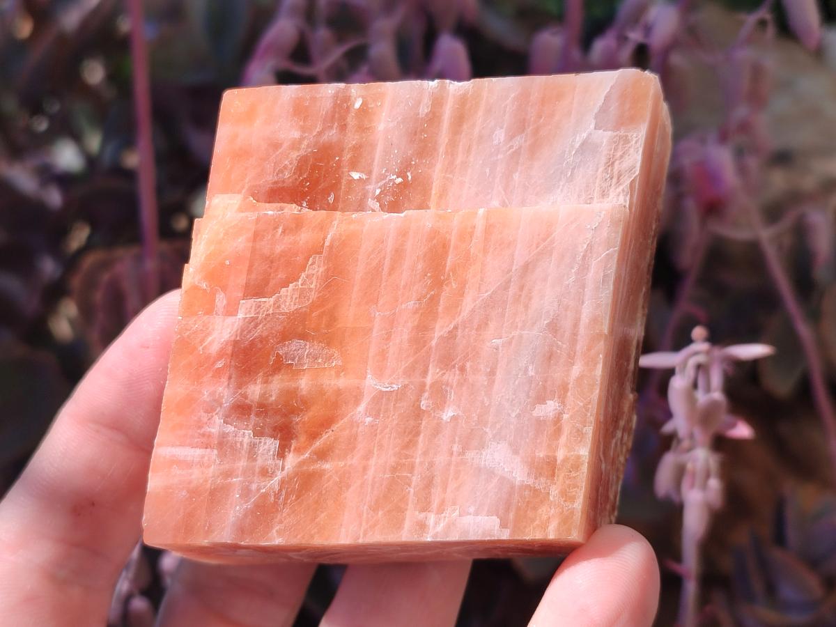 Natural Rhombohedral Sunset Orange Calcite Specimens x 12 From Spitzkop, Namibia - Toprock Gemstones and Minerals 