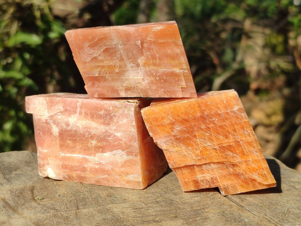 Natural Rhombohedral Sunset Orange Calcite Specimens x 12 From Spitzkop, Namibia - Toprock Gemstones and Minerals 