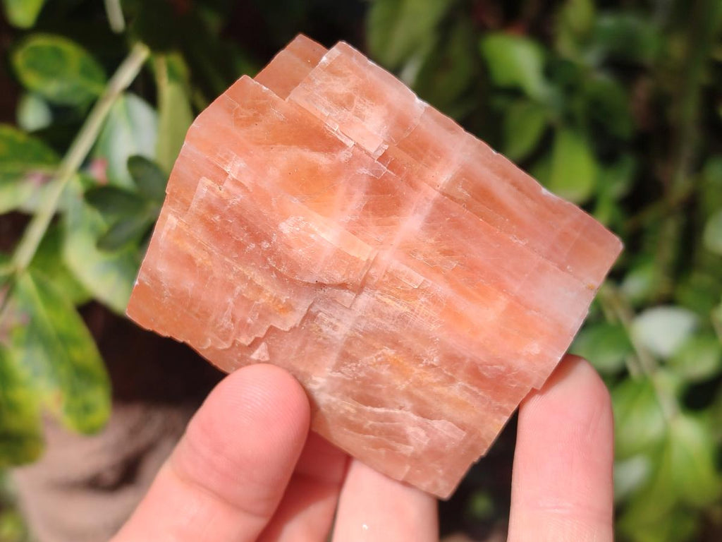 Natural Rhombohedral Sunset Orange Calcite Specimens x 12 From Spitzkop, Namibia - Toprock Gemstones and Minerals 