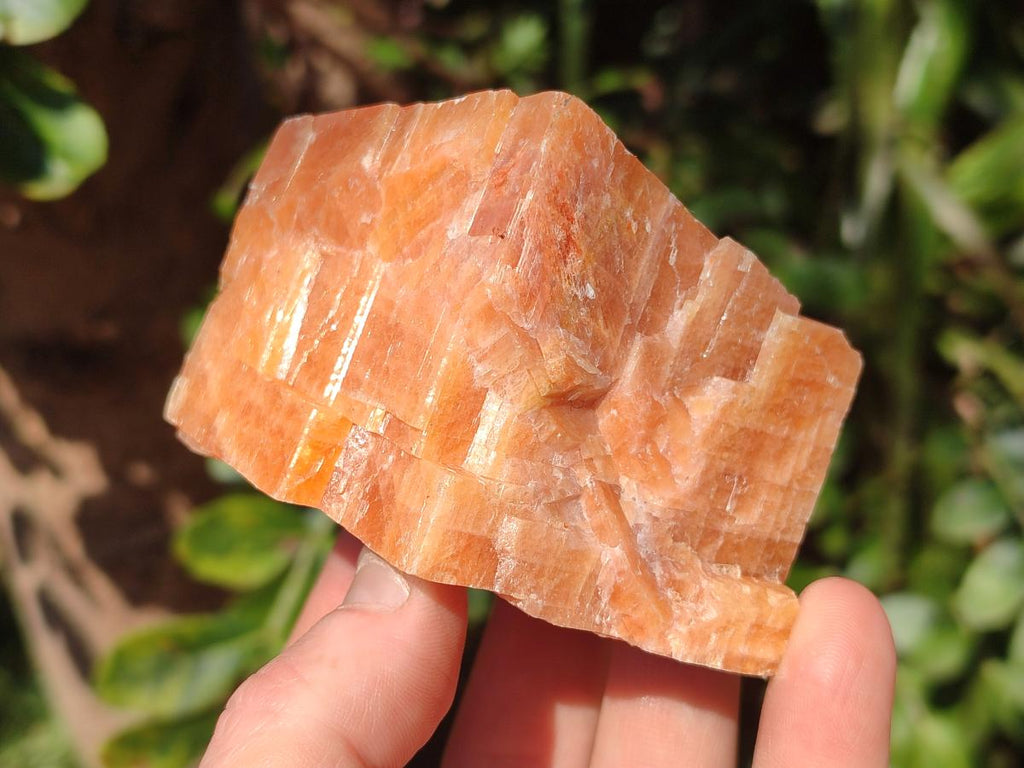 Natural Rhombohedral Sunset Orange Calcite Specimens x 12 From Spitzkop, Namibia - Toprock Gemstones and Minerals 