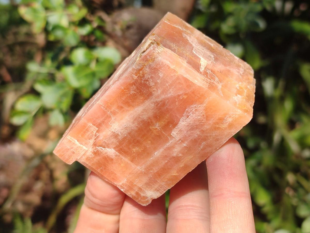 Natural Rhombohedral Sunset Orange Calcite Specimens x 12 From Spitzkop, Namibia - Toprock Gemstones and Minerals 