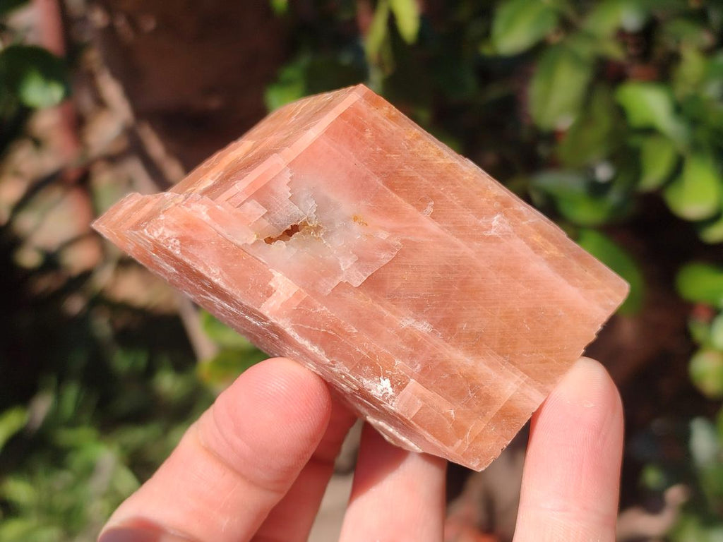 Natural Rhombohedral Sunset Orange Calcite Specimens x 12 From Spitzkop, Namibia - Toprock Gemstones and Minerals 