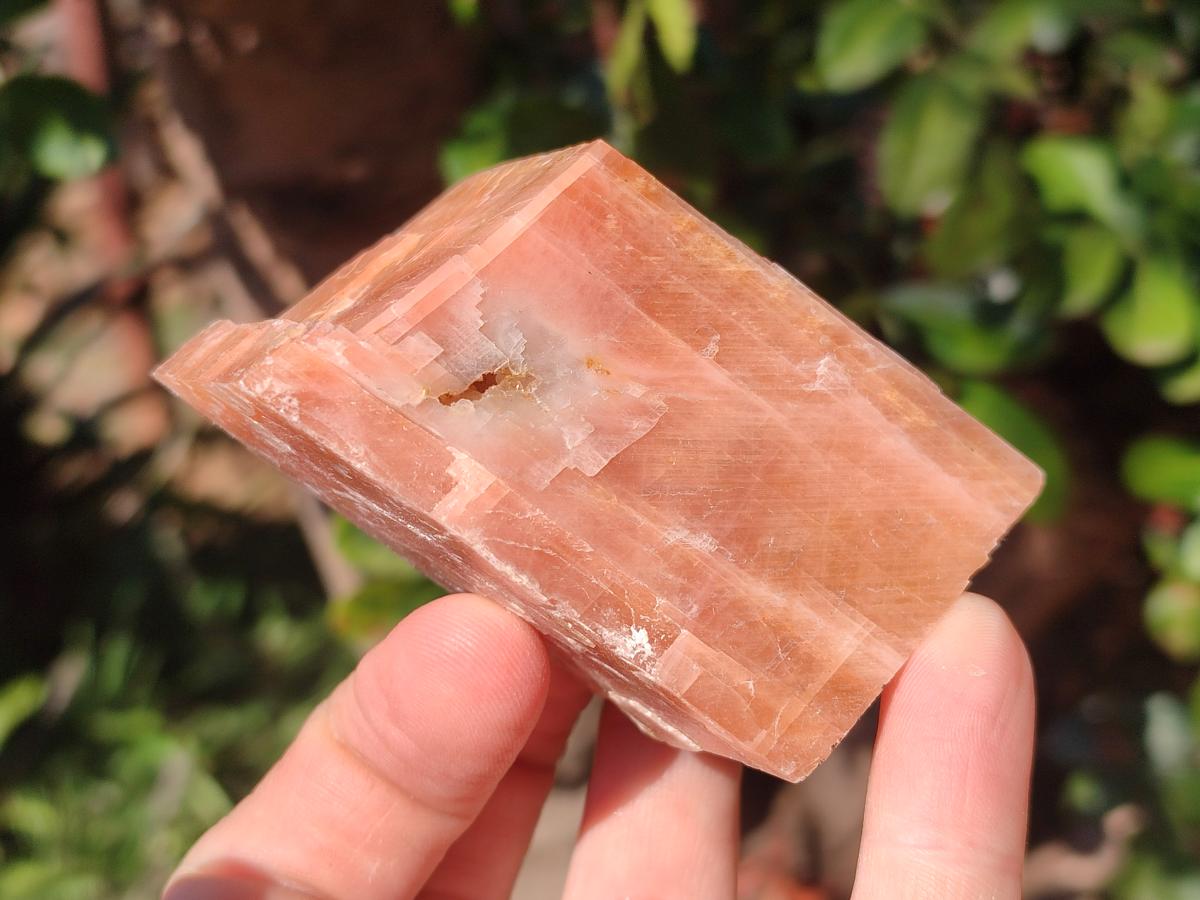 Natural Rhombohedral Sunset Orange Calcite Specimens x 12 From Spitzkop, Namibia - Toprock Gemstones and Minerals 