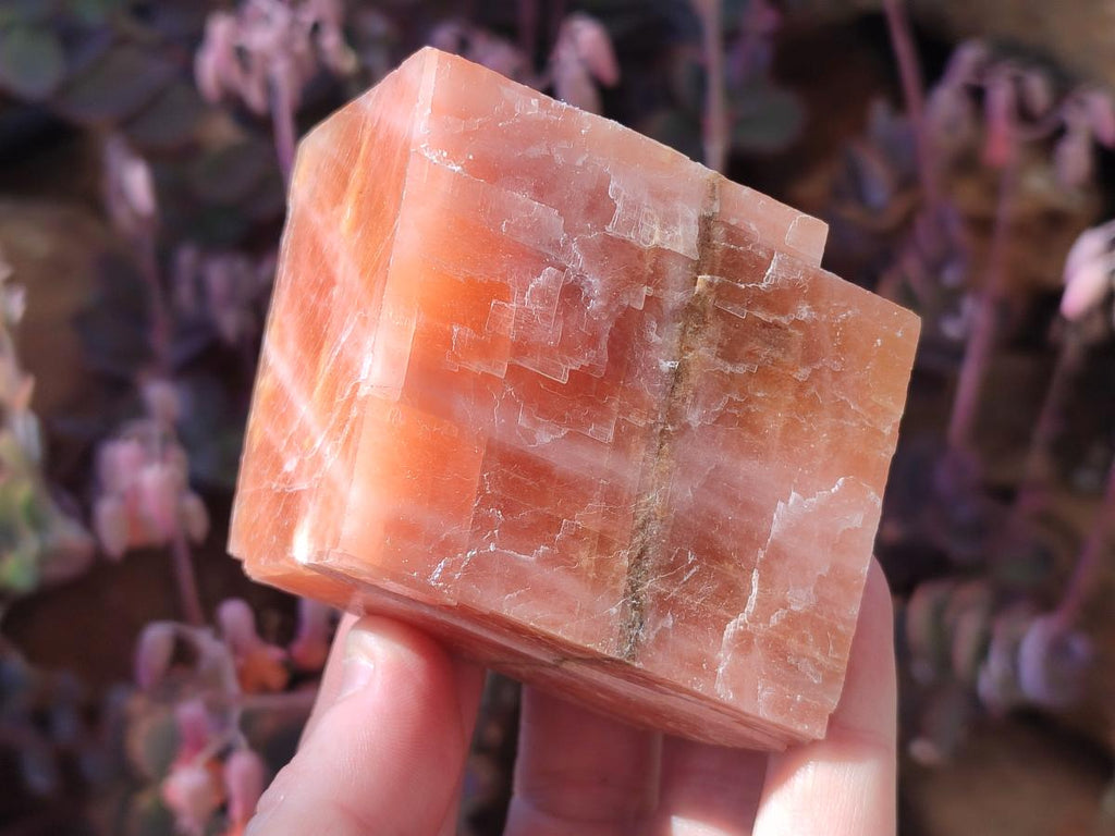 Natural Rhombohedral Sunset Orange Calcite Specimens x 12 From Spitzkop, Namibia - Toprock Gemstones and Minerals 