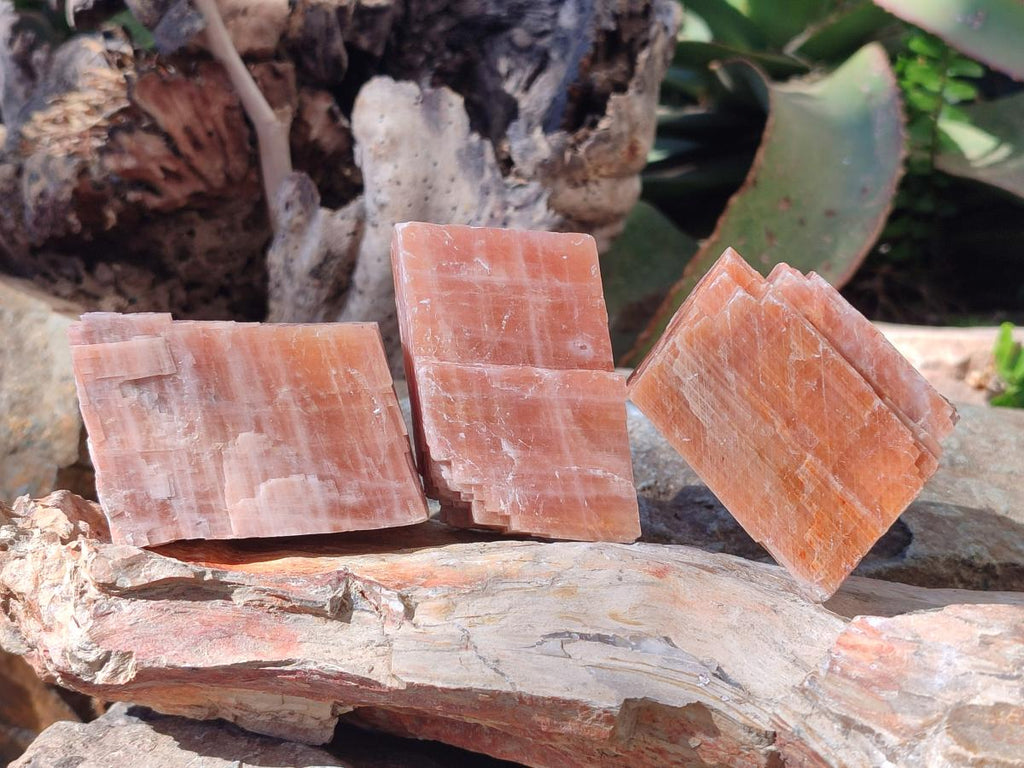 Natural Rhombohedral Sunset Orange Calcite Specimens x 12 From Spitzkop, Namibia - Toprock Gemstones and Minerals 