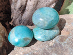 Polished Amazonite Palm Stones x 24 From Madagascar - Toprock Gemstones and Minerals 