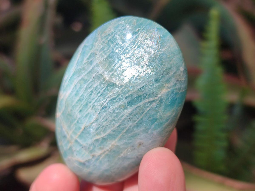 Polished Amazonite Palm Stones x 24 From Madagascar - Toprock Gemstones and Minerals 