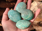 Polished Amazonite Palm Stones x 24 From Madagascar - Toprock Gemstones and Minerals 