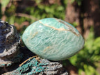 Polished Amazonite Palm Stones x 24 From Madagascar - Toprock Gemstones and Minerals 