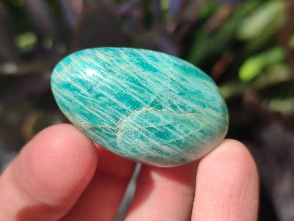 Polished Amazonite Palm Stones x 24 From Madagascar - Toprock Gemstones and Minerals 
