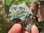 Natural Emerald Mica 'Mutokolite' Cobbed Specimens x 24 From Mutoko, Zimbabwe - Toprock Gemstones and Minerals 