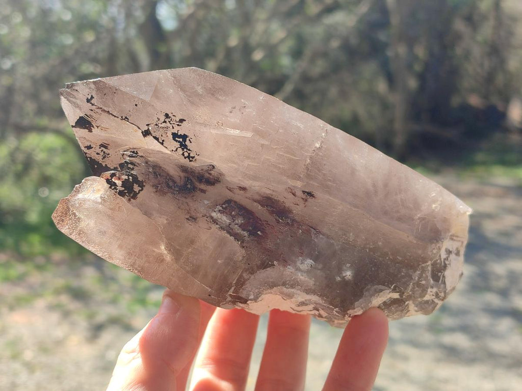 Natural Large Smokey Quartz Crystals x 2 From Mulanje, Malawi - Toprock Gemstones and Minerals 