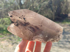 Natural Large Smokey Quartz Crystals x 2 From Mulanje, Malawi - Toprock Gemstones and Minerals 