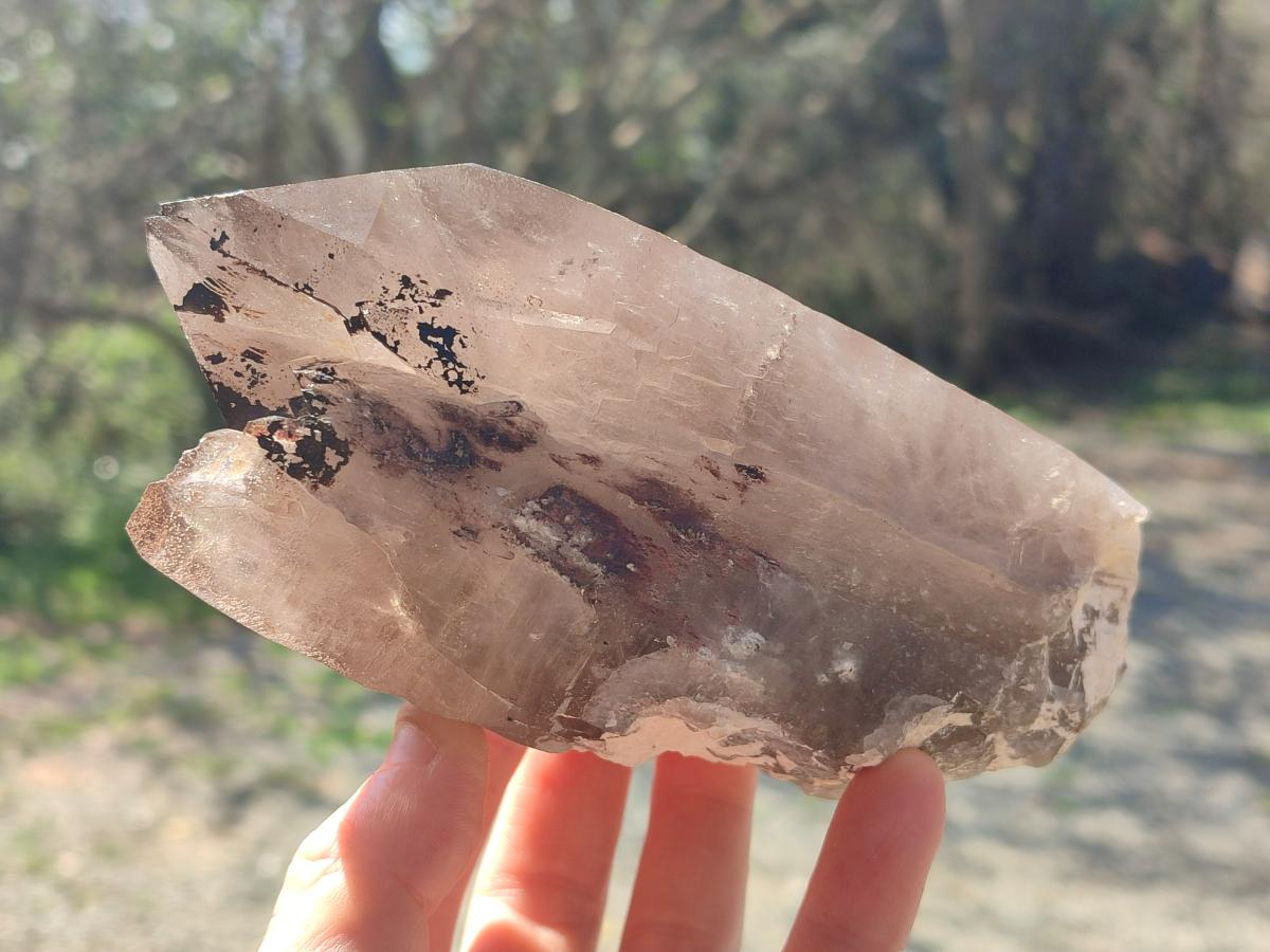 Natural Large Smokey Quartz Crystals x 2 From Mulanje, Malawi - Toprock Gemstones and Minerals 