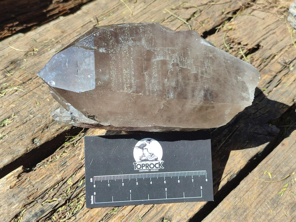 Natural Large Smokey Quartz Crystals x 2 From Mulanje, Malawi - Toprock Gemstones and Minerals 