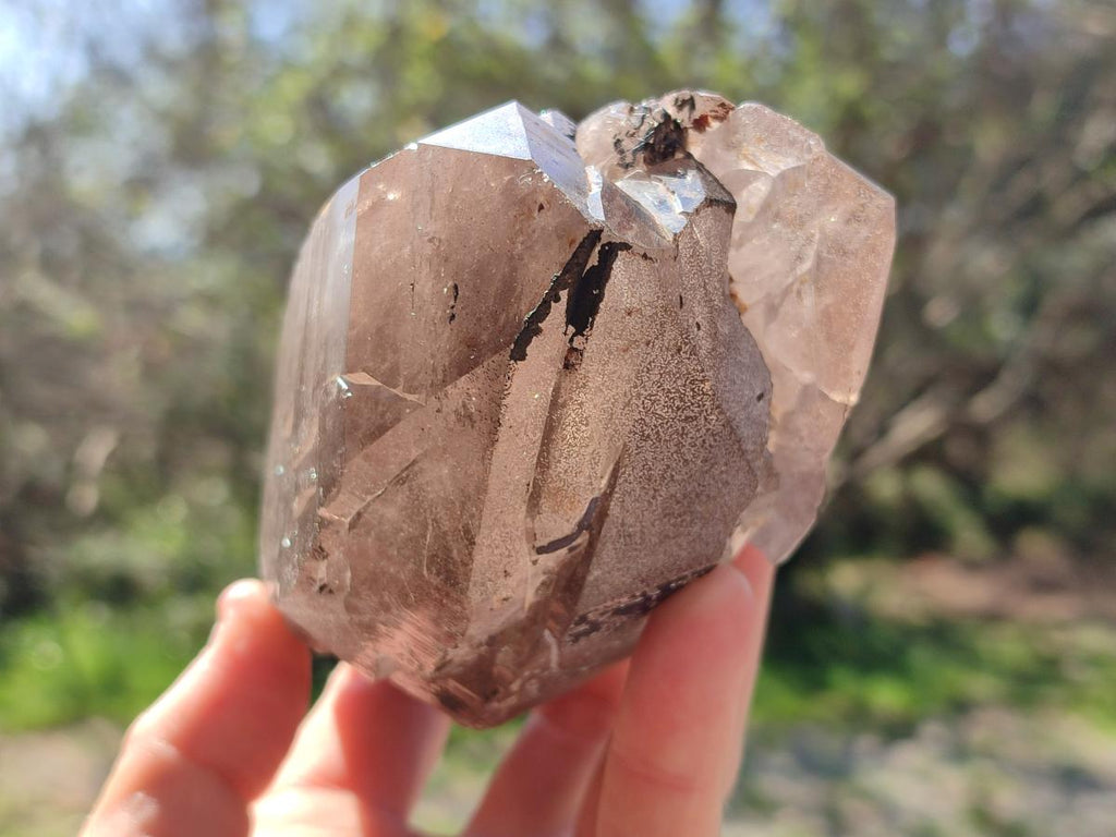Natural Large Smokey Quartz Crystals x 2 From Mulanje, Malawi - Toprock Gemstones and Minerals 