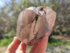 Natural Large Smokey Quartz Crystals x 2 From Mulanje, Malawi - Toprock Gemstones and Minerals 