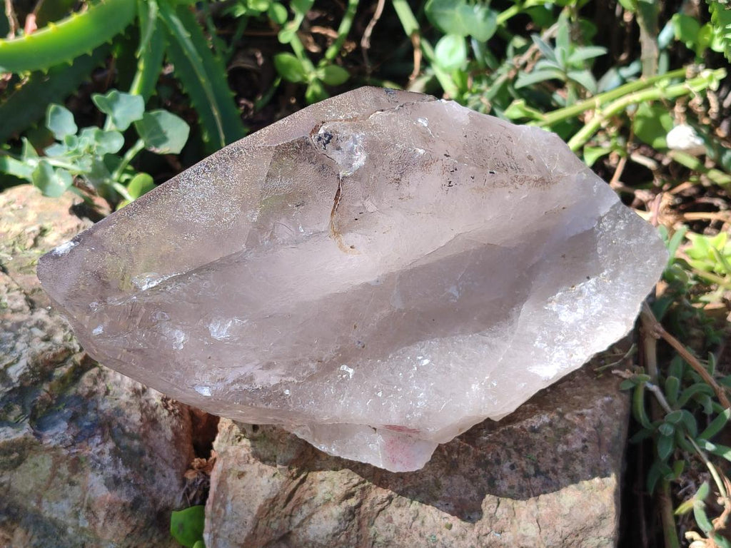 Natural Large Smokey Quartz Crystals x 2 From Mulanje, Malawi - Toprock Gemstones and Minerals 