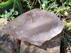 Natural Large Smokey Quartz Crystals x 2 From Mulanje, Malawi - Toprock Gemstones and Minerals 