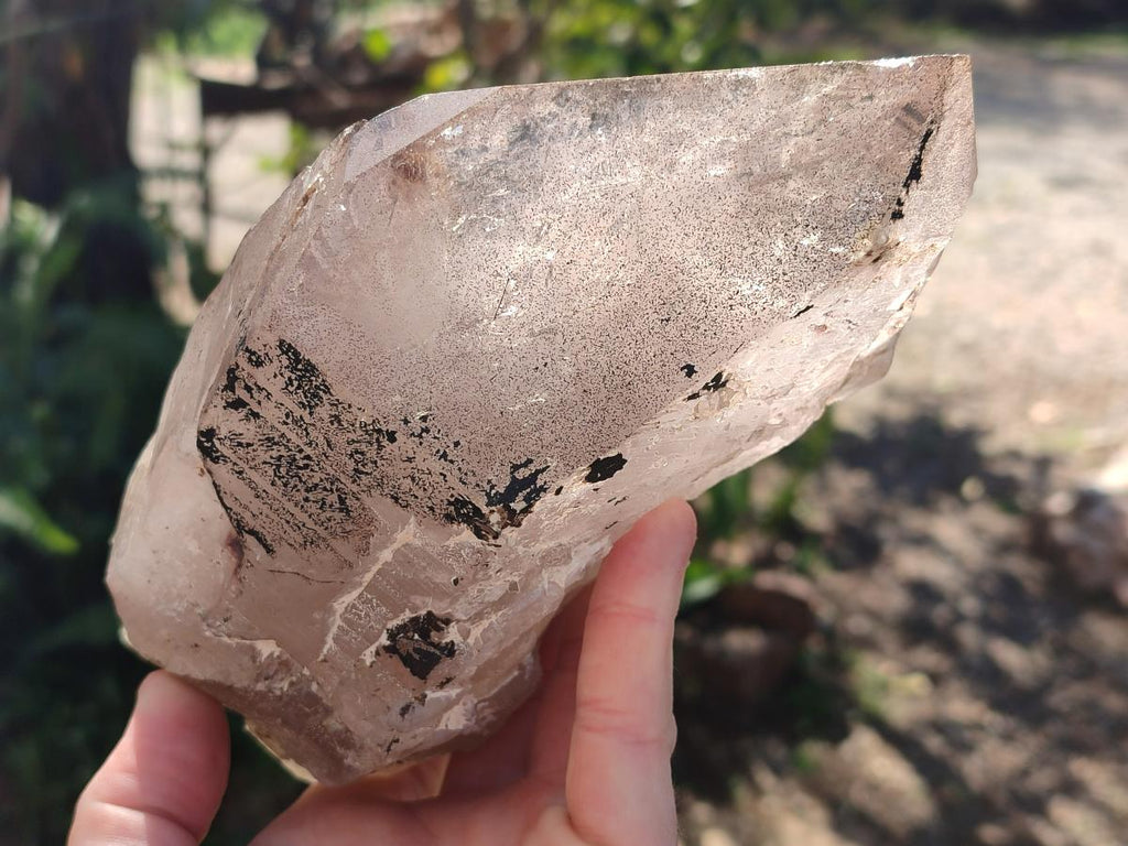 Natural Large Smokey Quartz Crystals x 2 From Mulanje, Malawi - Toprock Gemstones and Minerals 