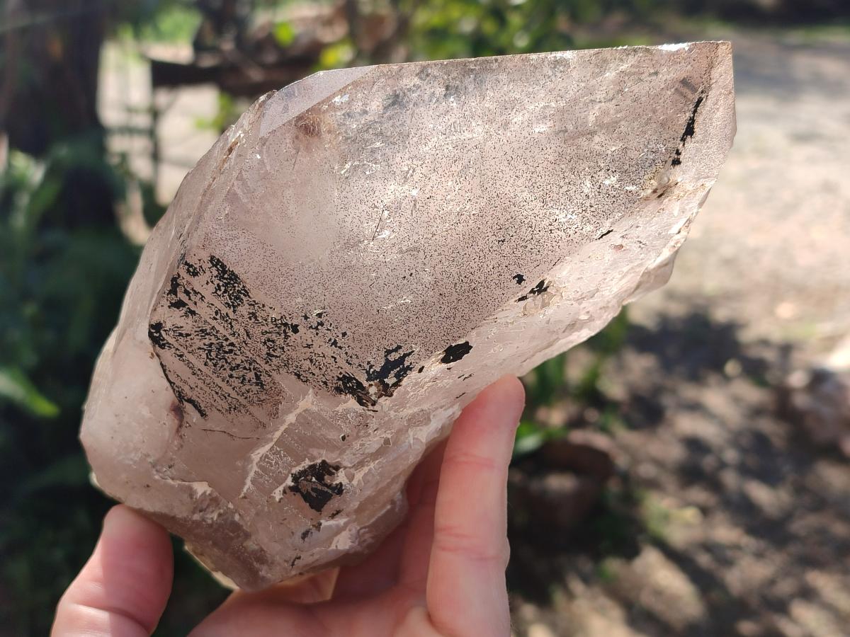 Natural Large Smokey Quartz Crystals x 2 From Mulanje, Malawi - Toprock Gemstones and Minerals 