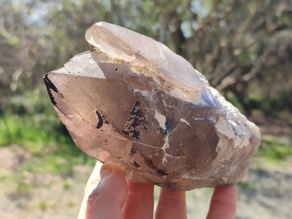 Natural Large Smokey Quartz Crystals x 2 From Mulanje, Malawi - Toprock Gemstones and Minerals 