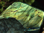 Polished Labradorite Standing Display Pieces x 3 From Madagascar - Toprock Gemstones and Minerals 
