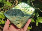 Polished Labradorite Standing Display Pieces x 3 From Madagascar - Toprock Gemstones and Minerals 