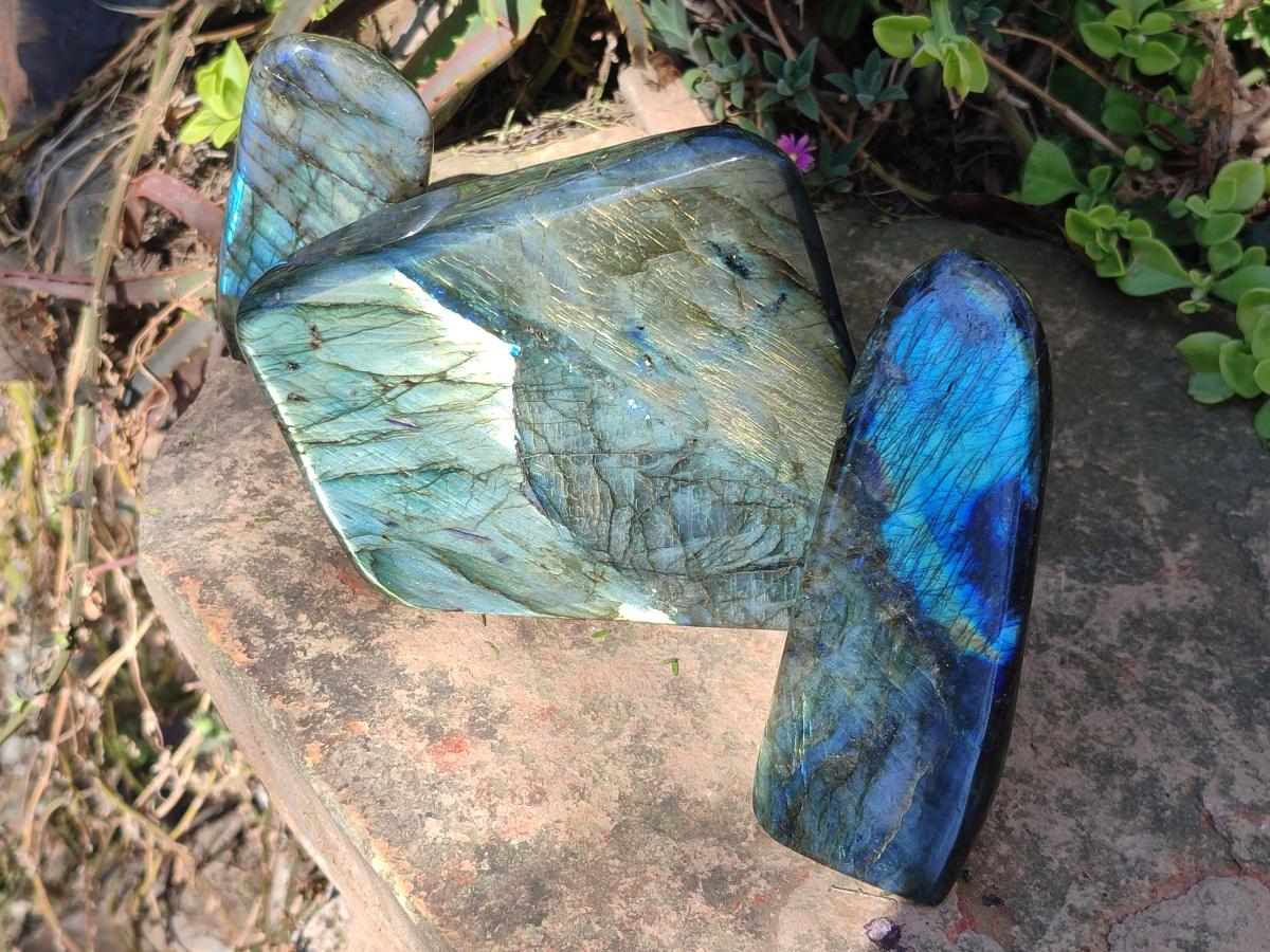 Polished Labradorite Standing Display Pieces x 3 From Madagascar - Toprock Gemstones and Minerals 