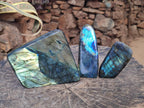 Polished Labradorite Standing Display Pieces x 3 From Madagascar - Toprock Gemstones and Minerals 