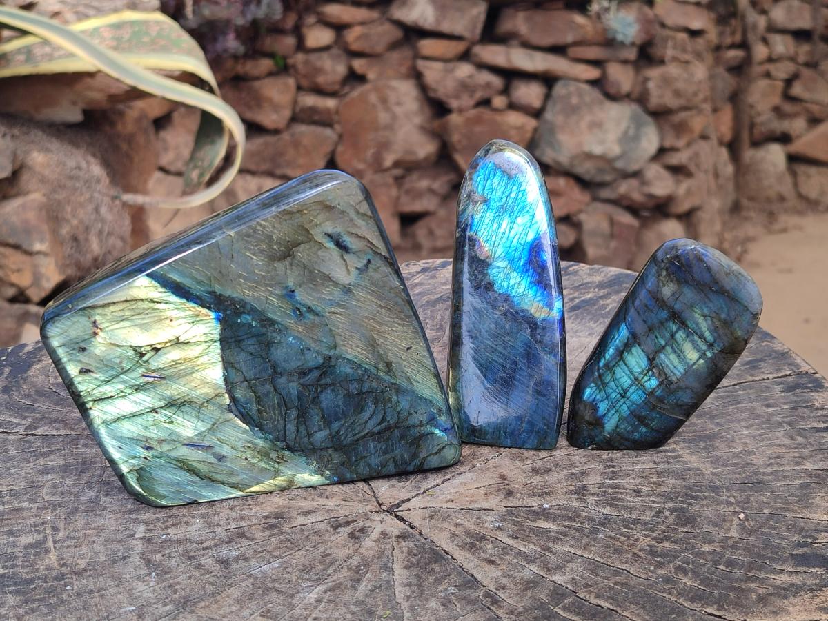 Polished Labradorite Standing Display Pieces x 3 From Madagascar - Toprock Gemstones and Minerals 