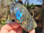 Polished Labradorite Standing Display Pieces x 3 From Madagascar - Toprock Gemstones and Minerals 