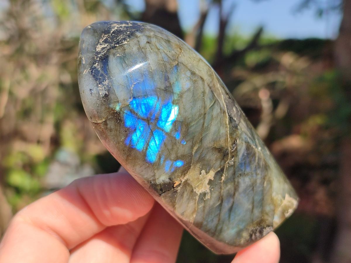 Polished Labradorite Standing Display Pieces x 3 From Madagascar - Toprock Gemstones and Minerals 