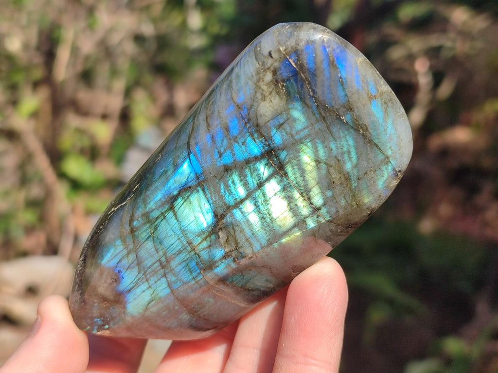 Polished Labradorite Standing Display Pieces x 3 From Madagascar - Toprock Gemstones and Minerals 