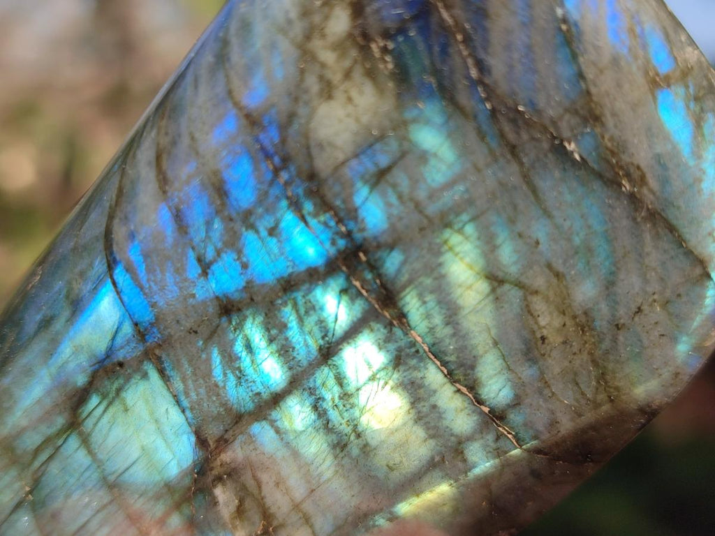 Polished Labradorite Standing Display Pieces x 3 From Madagascar - Toprock Gemstones and Minerals 