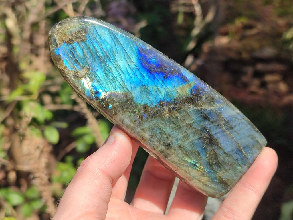 Polished Labradorite Standing Display Pieces x 3 From Madagascar - Toprock Gemstones and Minerals 